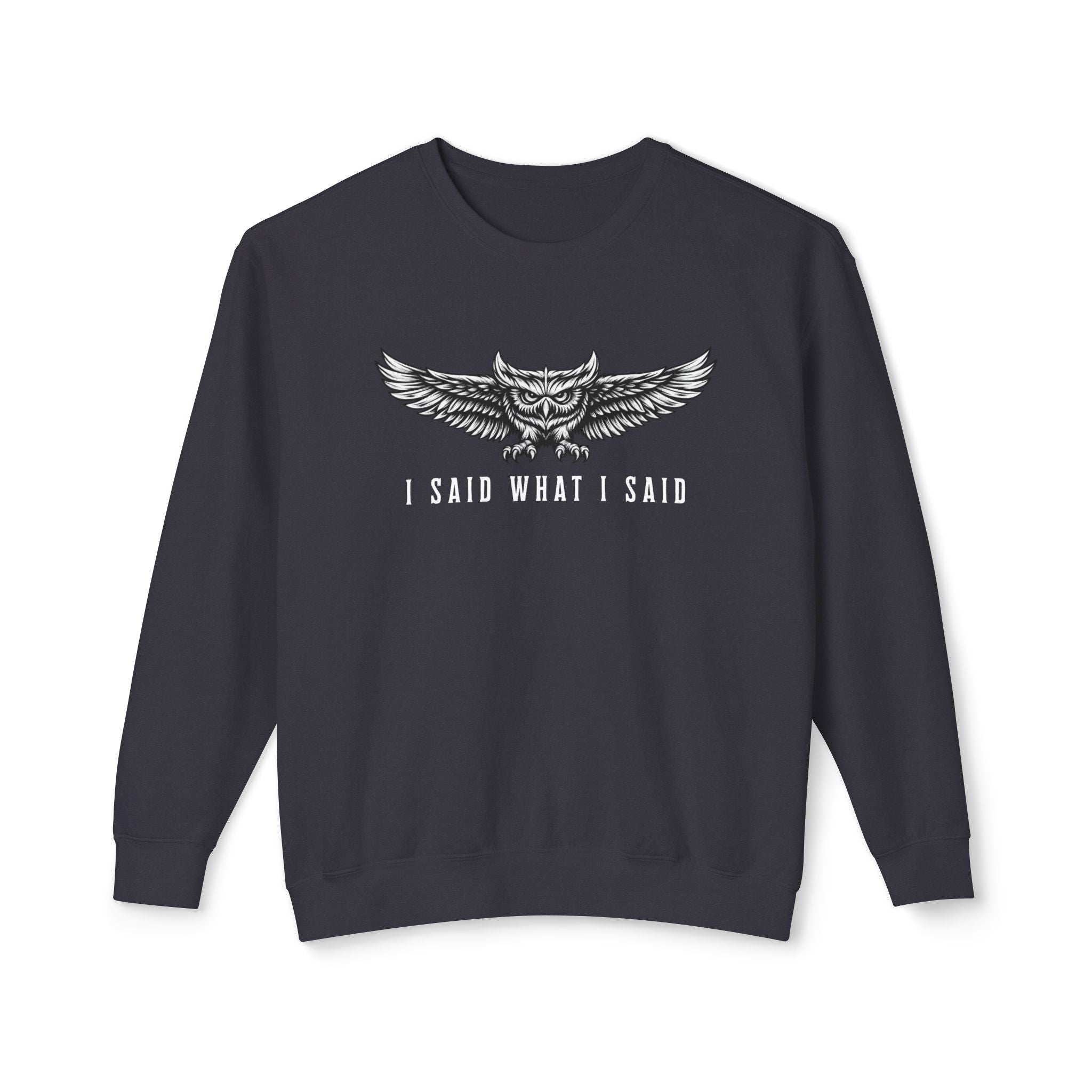 Unisex Owl Crewneck Sweatshirt I Said What I Said Statement Pullover Black Graphic Streetwear